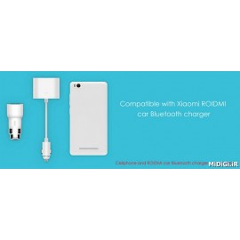 مبدل یک به دو شارژر فندکی رویدمی شیائومی شیاومی | Xiaomi Mi Roidmi 1 to 2 Car Dual Cigarette Lighter Charger Adapter DYQ01RM  