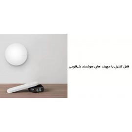 لامپ ال ای دی هوشمند سقفی و دیواری مدل MJXDD01SYL شیائومی - Xiaomi Mi Smart LED Ceiling Light MJXDD01SYL BHR4118GL 450 45W 3100lm