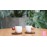فنجان قهوه دوبل می شیاومی شیائومی | Xiaomi Mi Coffee Cup Double