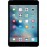 آیپد مینی 4 - 16 گیگ وای فای خاکستری  |  iPad Mini 4 Wifi 16GB Gray LLA