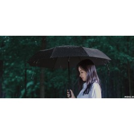 چتر اتوماتیک تاشو میجیا می شیاومی شیائومی | Xiaomi Mi Mijia Automatic Umbrella ZDS01XM